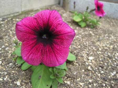 763f9830.jpg