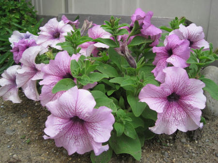 78f8f844.jpg