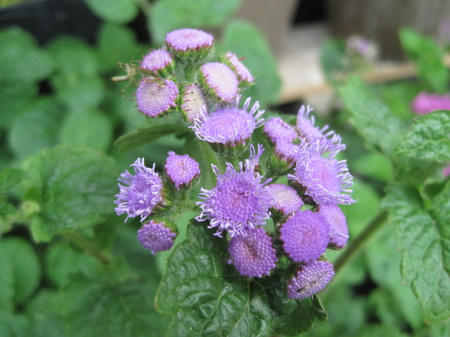 bd06143f.jpg