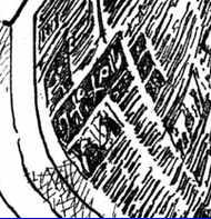 one-piece-613-11.jpg