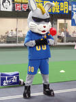 リッジーくんというらしい