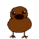 piyochoko.gif
