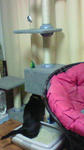 200804200616000.jpg