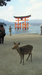 201001051143000.jpg