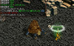 1206_drop1.JPG