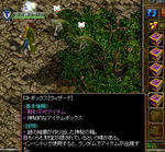 0113_maturi1.JPG