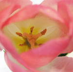 f7097655.jpg