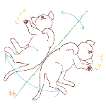01f8f1bb.gif
