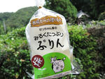 04d3e839.jpg