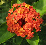 d4d88536.jpg