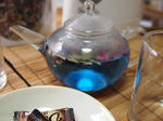 P4243492.JPG