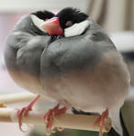 201223.jpg