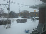 snowy1.JPG