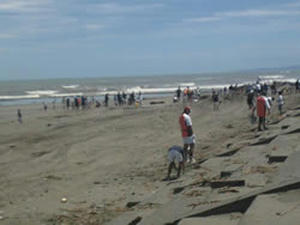 7.15_beachclean.jpg