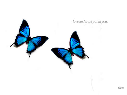 for_love_from_rik.jpg