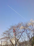 c83a181f.jpg