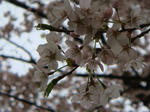 DSC01569.jpg