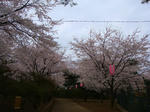 DSC01571.jpg