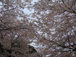 DSC01572.jpg