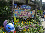 DSC01611.jpg