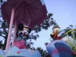 DSC01638.jpg