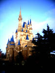 DSC01669.jpg