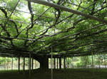 DSC01747.jpg
