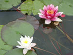 DSC01746.jpg