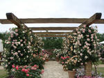 DSC01753.jpg