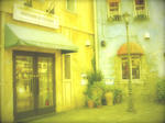 DSC01778.jpg