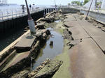 DSC01800.jpg