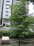 DSC01859.jpg