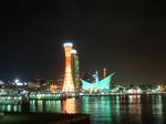 DSC01895.jpg