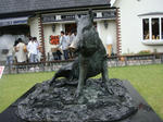 DSC01944.jpg