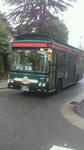 201006130918000.jpg