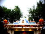 DSC02109.jpg