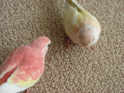 DSCN1679.JPG