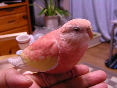 DSCN1121.jpg