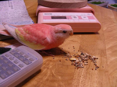 DSCN1129.jpg