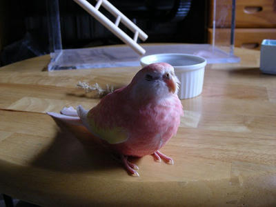 DSCN1210.jpg