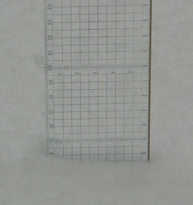 20120229-02.jpg