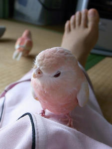 20120229-03.jpg