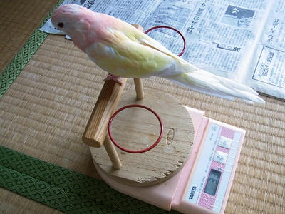 20120229-05.jpg