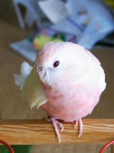 20120229-06.jpg