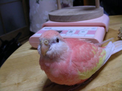 DSCN1265.jpg