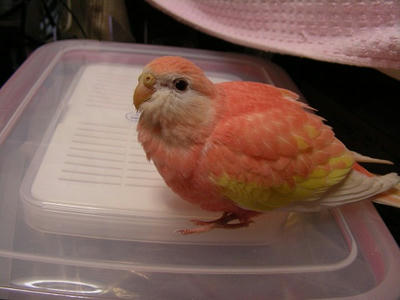 DSCN1267.jpg