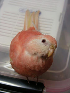 DSCN1270.jpg