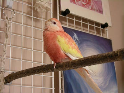 DSCN1357.jpg