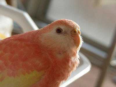 DSCN1387.jpg