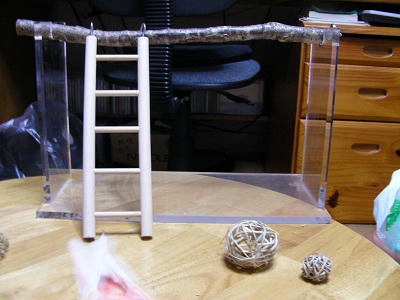 DSCN1278.jpg
